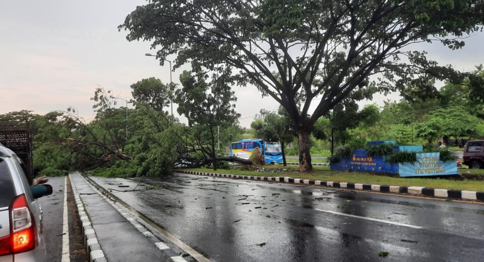 Pohon tumbang di akses menuju Jembatan Suramadu sisi bangkalan, Madura (surabayakabarmetro.com)