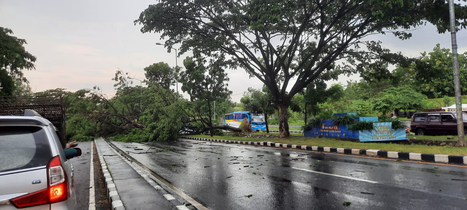 Pohon tumbang di akses menuju Jembatan Suramadu sisi bangkalan, Madura (surabayakabarmetro.com)