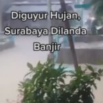 Warga Surabaya Bingung, Sinyal di Rumahnya Tidak Stabil, Ternyata Penyebabnya karena Ular