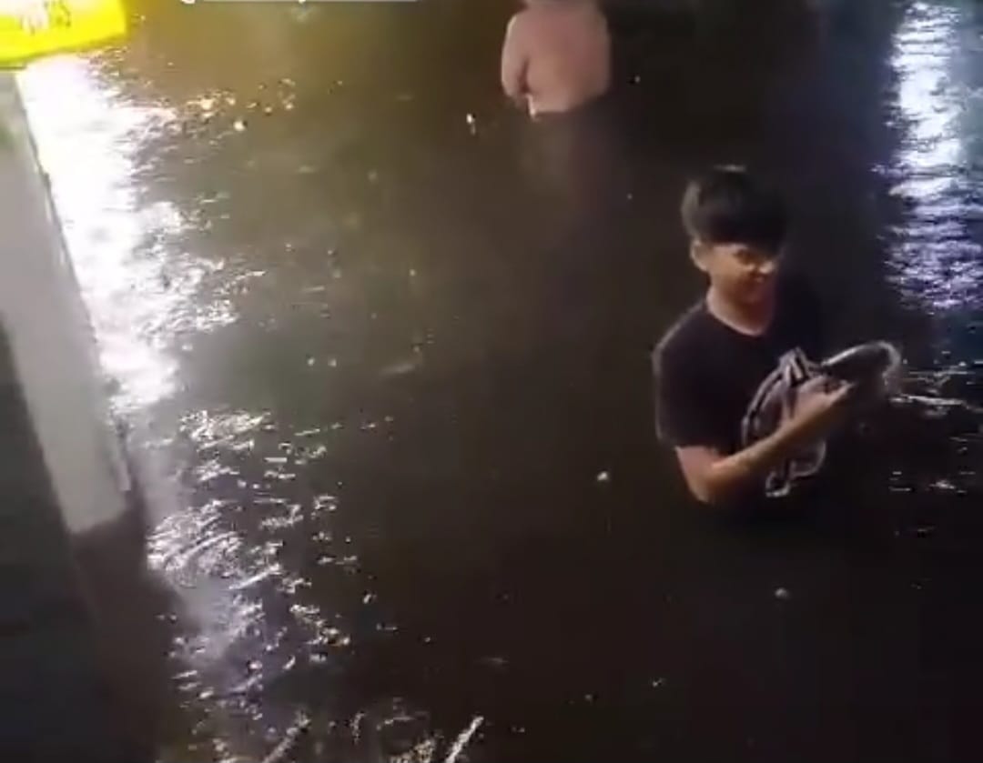 Dilanda Hujan Deras, Sejumlah Kawasan di Surabaya Banjir, Ada yang Sepinggang Orang Dewasa