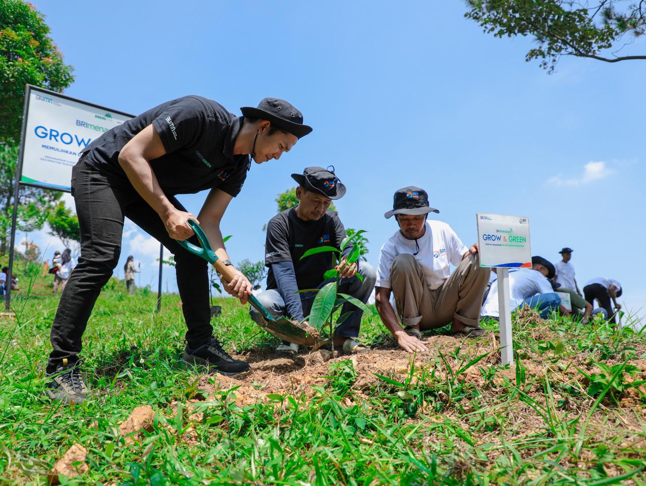 Cara BRI Pulihkan Hutan Bekas Tambang, Bersama Kelompok Tani Tanam Grow and Green (istimewa/ surabayakabarmetro.id)