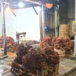 Tom Liwafa Gelar Deliwafa Festival di Surabaya, Ada Niken Salindry, NDX AKA hingga Bakso Mas Roy