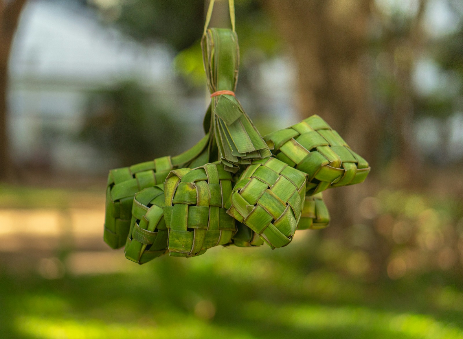 Mengenal Riyoyo Kupatan, Tradisi Lebaran Ketupat di Gresik dan Peninggalan Keturunan Sunan Giri (unsplash)