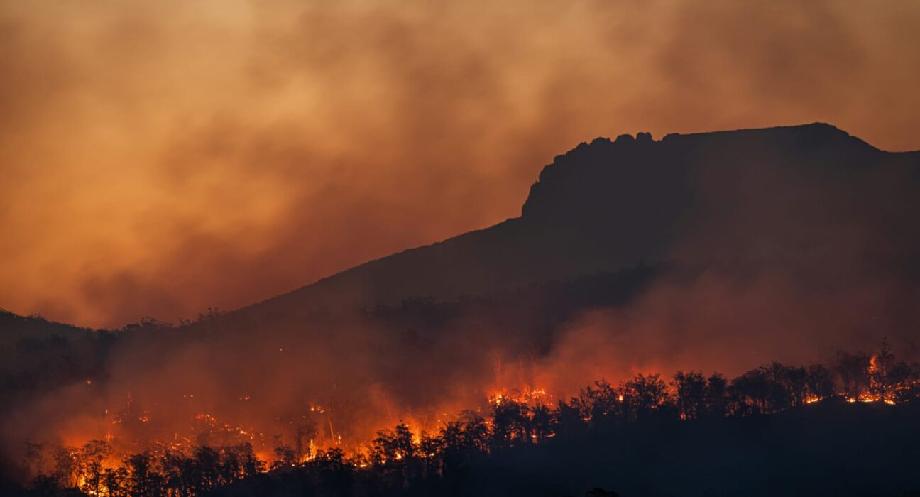 Karhutla Kalimantan Tak Kunjung Padam, Ternyata Pernah Terjadi Puluhan Tahun Lalu dan Dampaknya bagi Masyarakat serta Iklim (unsplash)