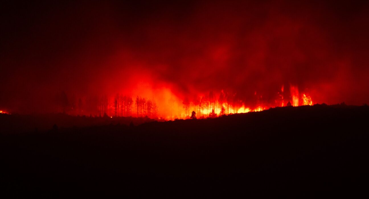 Karhutla Bukan Hanya Urusan Daerah yang Terbakar, Dampak Asapnya Bisa Lintas Wilayah (istimewa/ pexels)