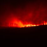 Hutan Kalimantan Terbakar, Ancaman Terbesarnya Justru Bersembunyi di Bawah Tanah