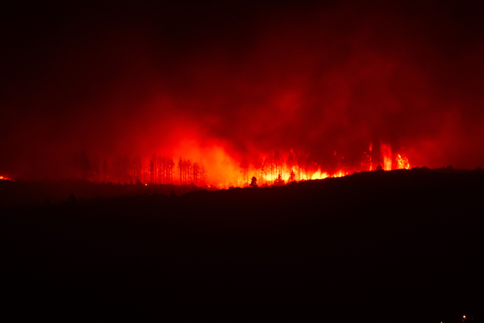 Karhutla Bukan Hanya Urusan Daerah yang Terbakar, Dampak Asapnya Bisa Lintas Wilayah (istimewa/ pexels)