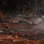 Karhutla Bukan Hanya Urusan Daerah yang Terbakar, Dampak Asapnya Bisa Lintas Wilayah